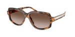 608913 - Havana / Gradient Brown