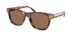 513473 - Antique Havana / Brown