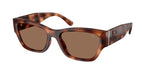 635173 - Blush Tortoise / Brown