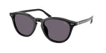 50011A - Shiny Black / Purple