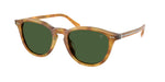 618571 - Shiny Tortoise Light Brown / Bottle Green