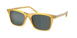 50053R - Shiny Opal Honey / Dark Grey Mirror Green