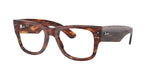2144 - Striped Havana / Clear