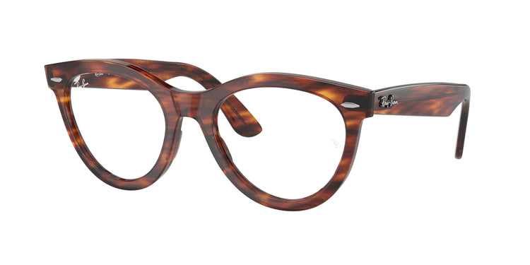 Ray-Ban 0RX2241V WAYFARER WAY