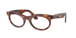 2144 - Striped Havana / Transparent
