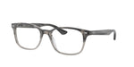 8106 - Grey Havana / Transparent