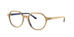 8051 - Beige / Transparent
