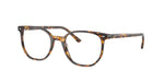 8536 - Havana Brown / Demo Bio