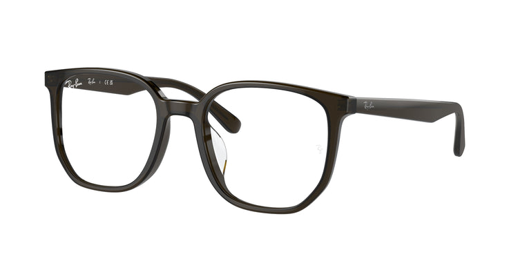Ray-Ban 0RX5411D