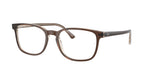 8365 - Brown On Transparent Light Brown / Clear