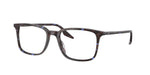 8424 - Havana Blue Turtle / Clear