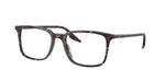 8424 - Havana Blue Turtle / Clear