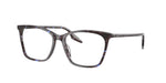 8424 - Havana Blue Turtle / Clear