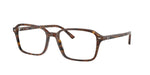 8395 - Transparent Fantasy Brown & Yellow / Clear