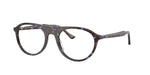 8424 - Havana Blue Turtle / Clear