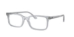8225 - Transparent Grey / Demo Bio