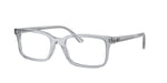 8225 - Transparent Grey / Demo Bio