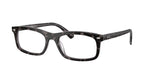 8483 - Havana Grey / Clear