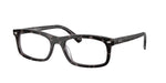 8483 - Havana Grey / Clear