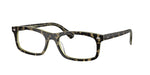 8485 - Havana Green / Clear