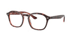 8488 - Havana & Red / Clear