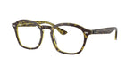 8487 - Havana & Green / Clear
