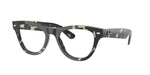 8117 - Grey Tortoise / Clear