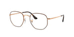 3176 - Havana On Rose Gold / Clear