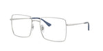 2501 - Silver / Clear