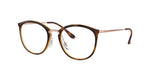 5687 - Striped Havana / Clear