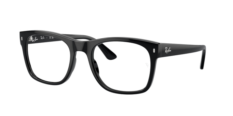 Ray-Ban 0RX7228