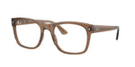 8198 - Transparent Light Brown / Transparent