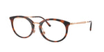 5687 - Striped Havana / Clear