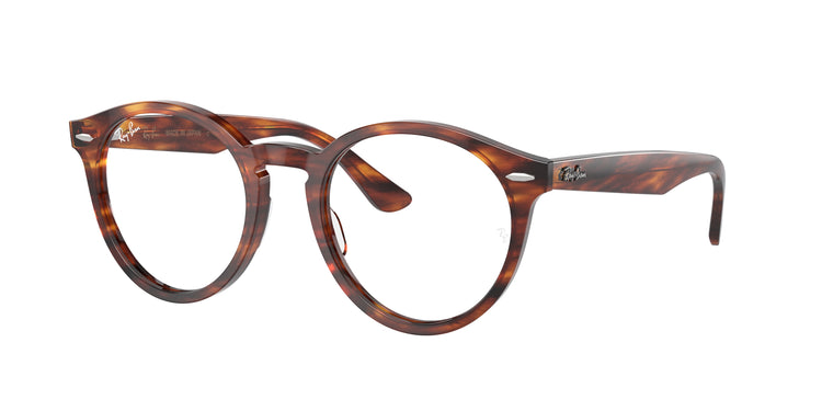 Ray-Ban 0RX7680V LARRY