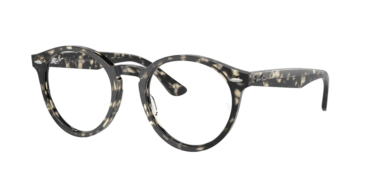 Ray-Ban 0RX7680V LARRY