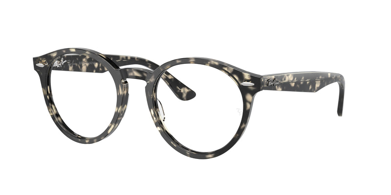 Ray-Ban 0RX7680V LARRY