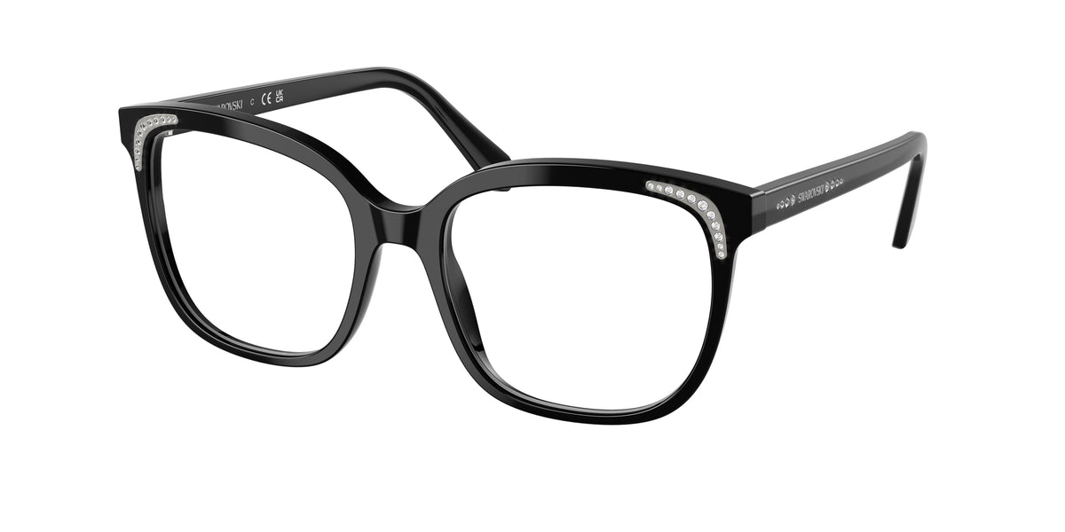1001 - Black / Demo Lens
