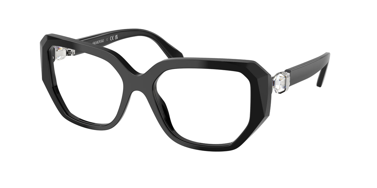 1001 - Black / Demo Lens