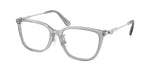 1069 - Transparent Grey / Demo Lens
