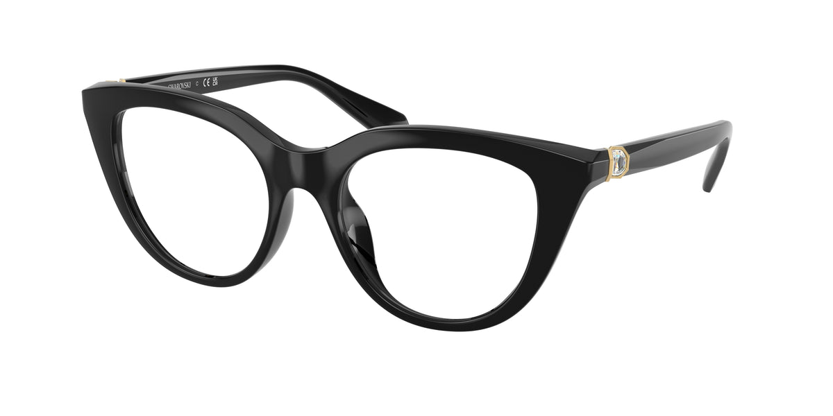 1001 - Black / Demo Lens