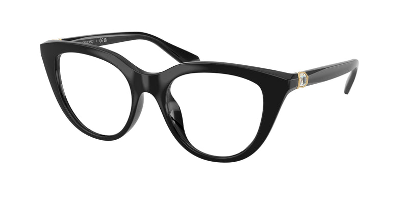 1001 - Black / Demo Lens