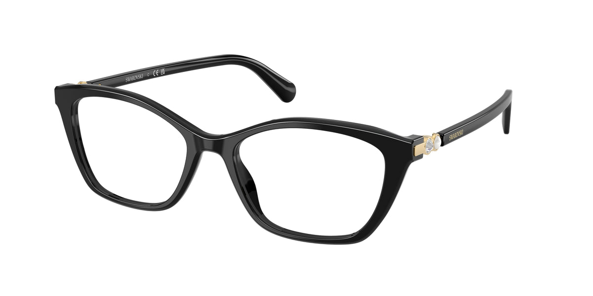 1001 - Black / Demo Lens
