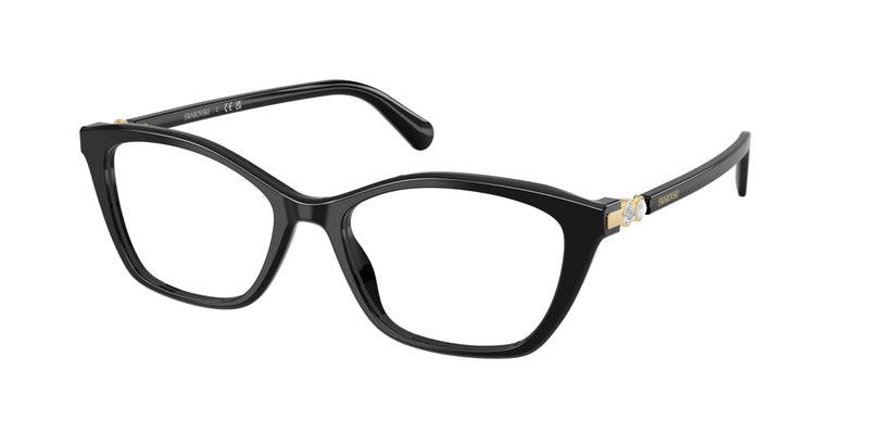 1001 - Black / Demo Lens