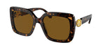 100283 - Havana / Polarized Brown