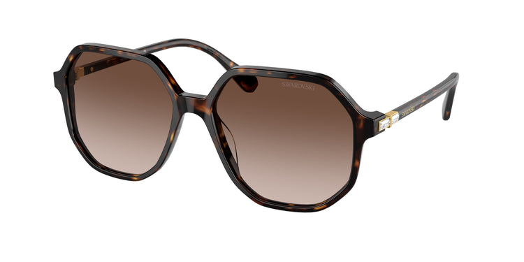 100213 - Havana / Brown Gradient