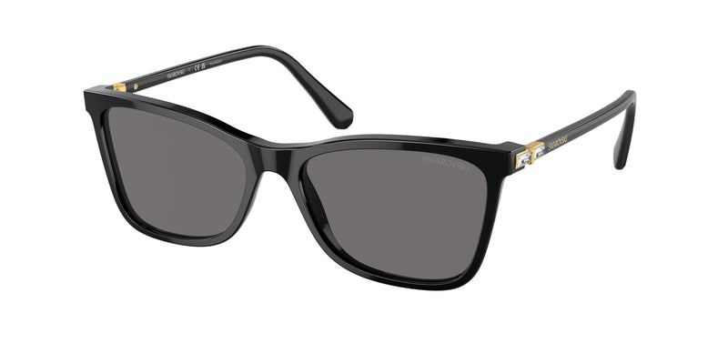 100181 - Black / Dark Grey Polarized