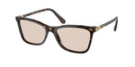 1002M4 - Dark Havana / Photo Brown Transitions®