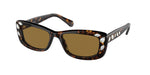 100273 - Dark Havana / Bronze
