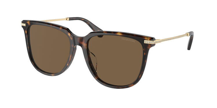 100273 - Dark Havana / Brown