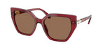 105573 - Transparent Burgundy / Dark Brown